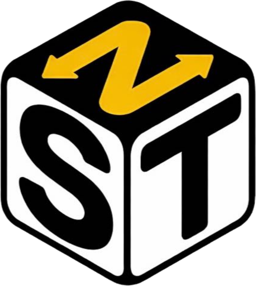 NEXST isotipo